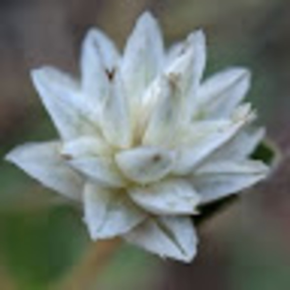 Meet your Posher, Kyle - Picture 1 of 1